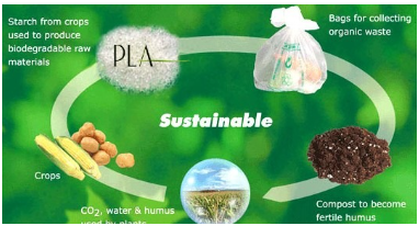 2023年全球生物降解塑料需求量或達55萬噸，主要是這6大一次性塑料產(chǎn)品替代材料！