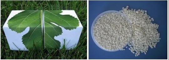 2023年全球生物降解塑料需求量或達55萬噸，主要是這6大一次性塑料產(chǎn)品替代材料！