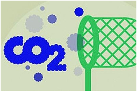 2023年全球生物降解塑料需求量或達55萬噸，主要是這6大一次性塑料產(chǎn)品替代材料！