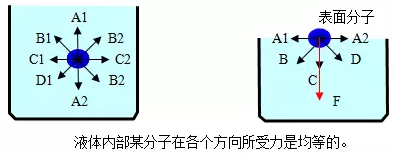 膠粘劑附著力基本原理分析